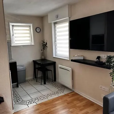Proche Gare Appartement Strasbourg